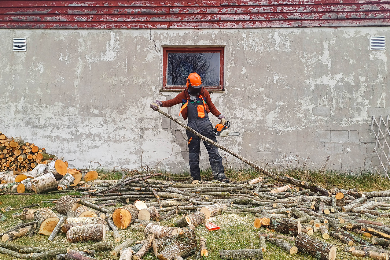 Wood as Material | Forest as Practice